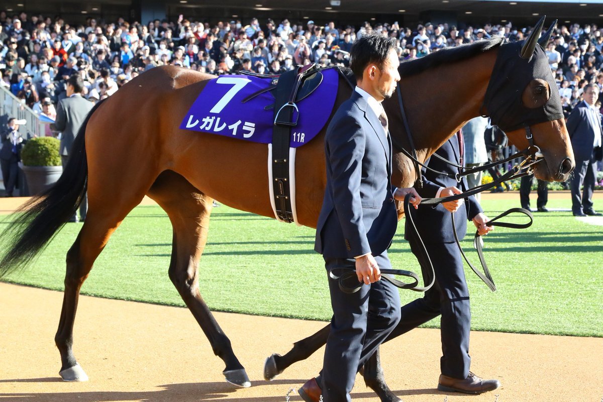 エリザベス女王杯、パドックで注目を集めた馬は？