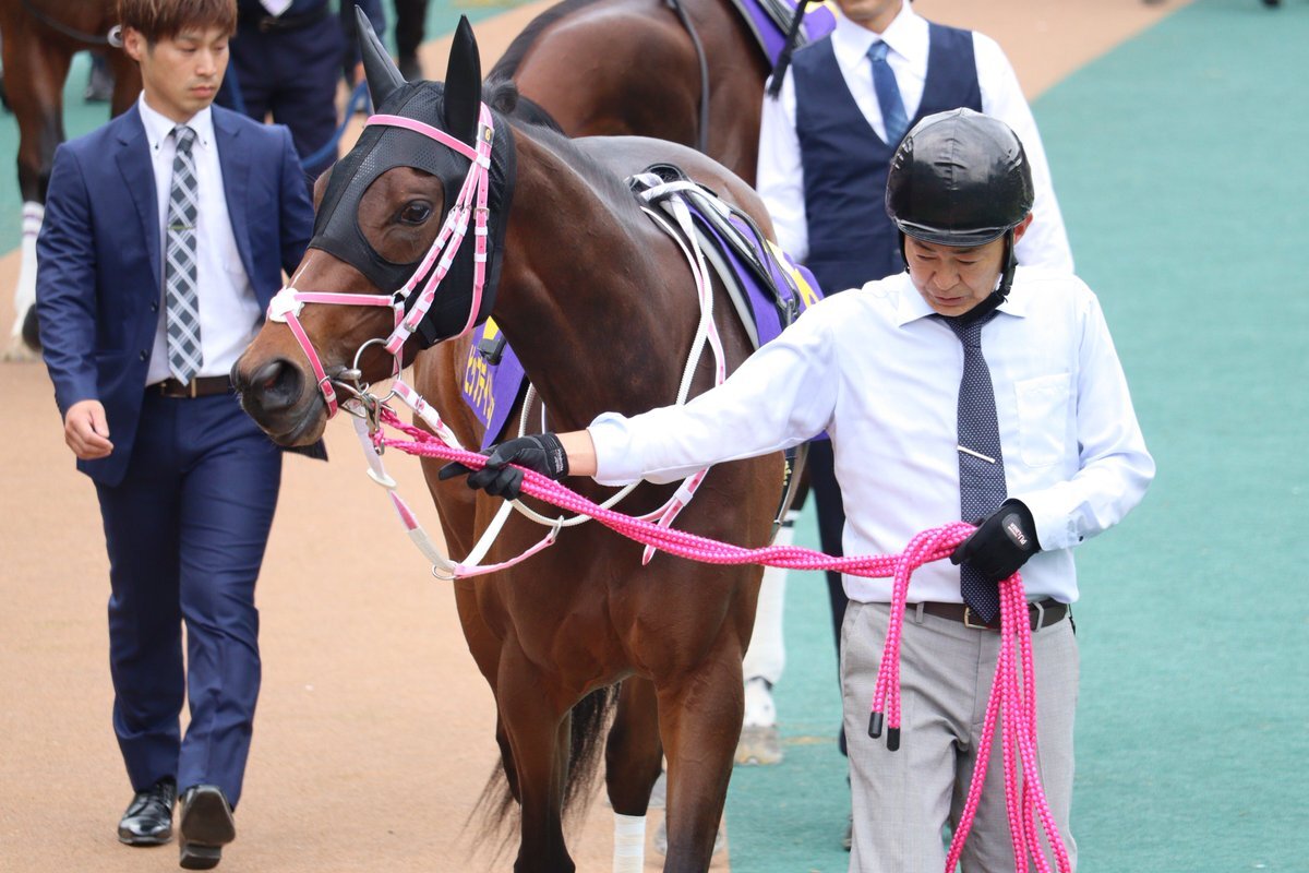 競馬 THE LINK 絶対連動 発見！永遠に続くJRA馬番リンク Attack! Local Horse Racing | 332nd | Cluster Cup - A Look