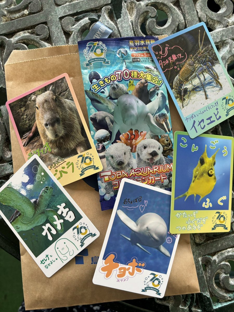 鳥羽水族館 コレクションカード ノーマルカード セミ
