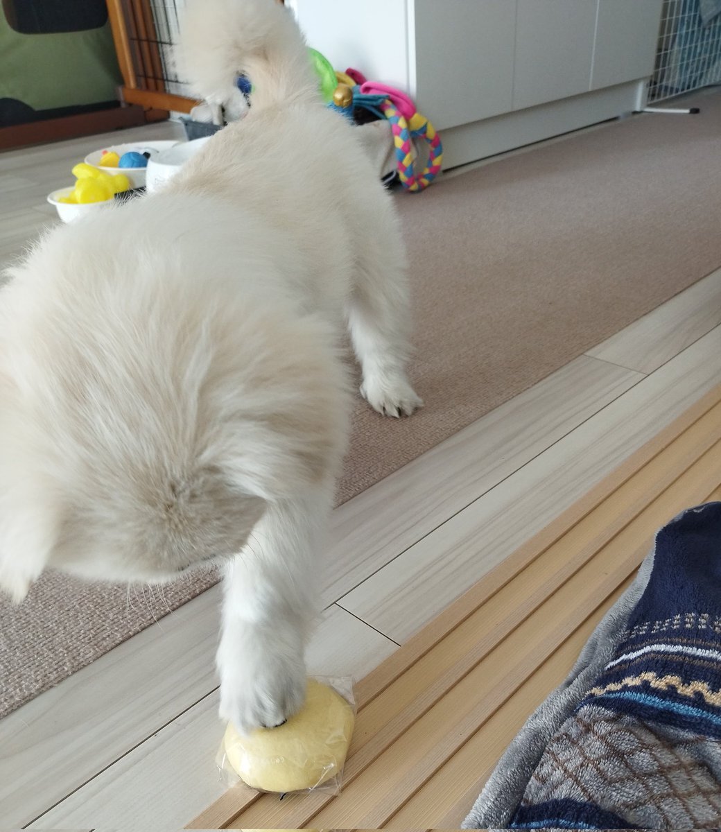 大河べらぼう「まんじゅうこわい」に視聴者興奮！次回予告も同タイトルで