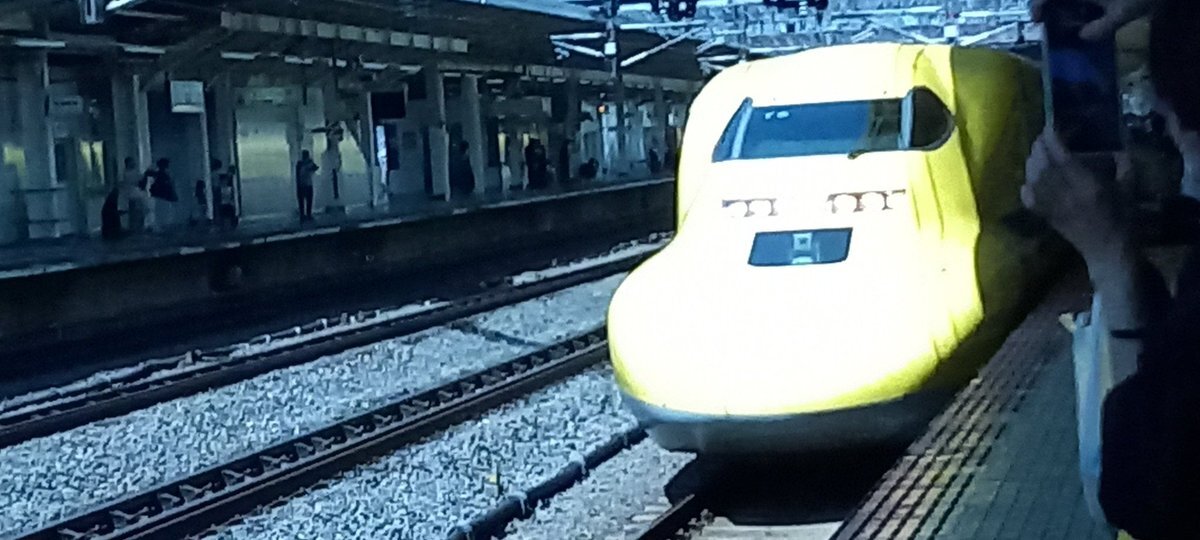 専用化解除 2059レ カンガルーライナー　最終値 専用化解除 2059レ カンガルーライナー 最終値