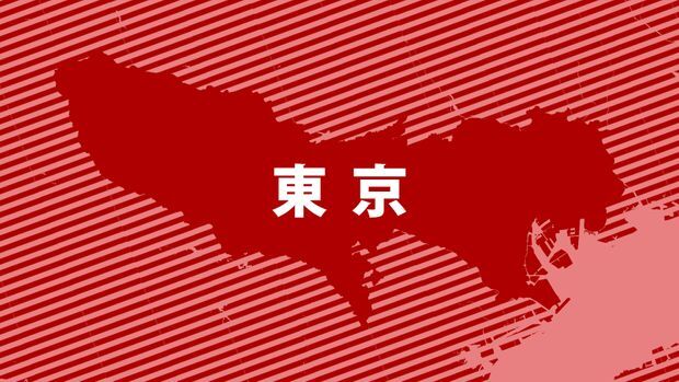 クロスズメバチに児童ら22人刺され搬送