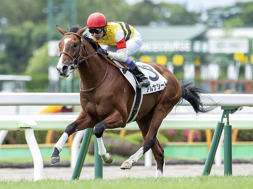 アルナシーム、引退後は乗馬へ！ファンは惜しむ声