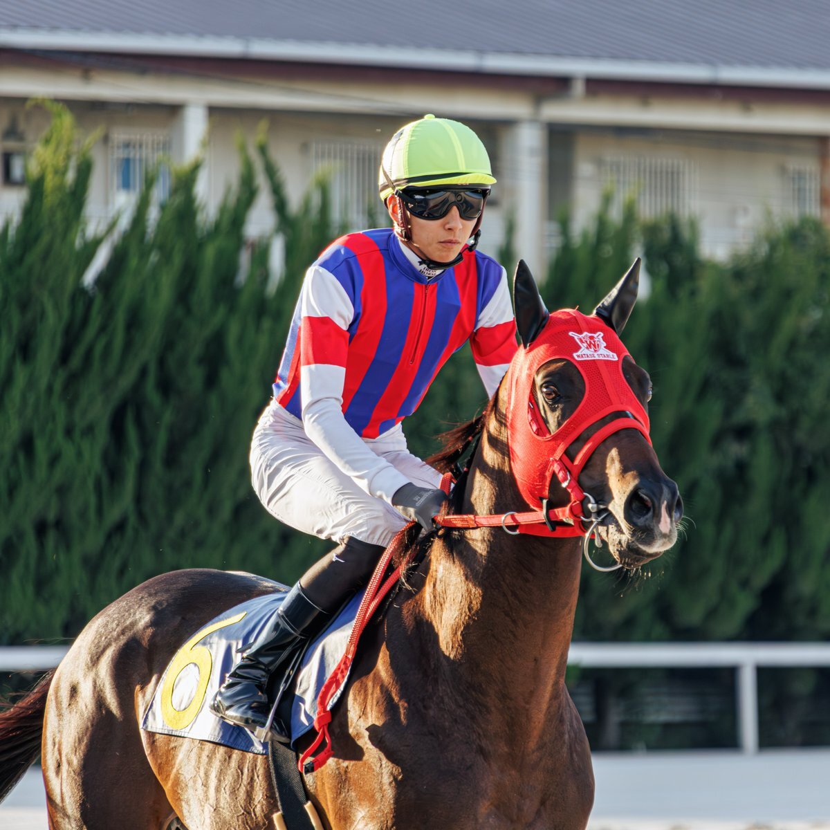 半*リ様 競走馬記念ジャケット ジャスタウェイ 半*リ様 競走馬記念ジャケット ジャスタウェイ ジャスタウェイ