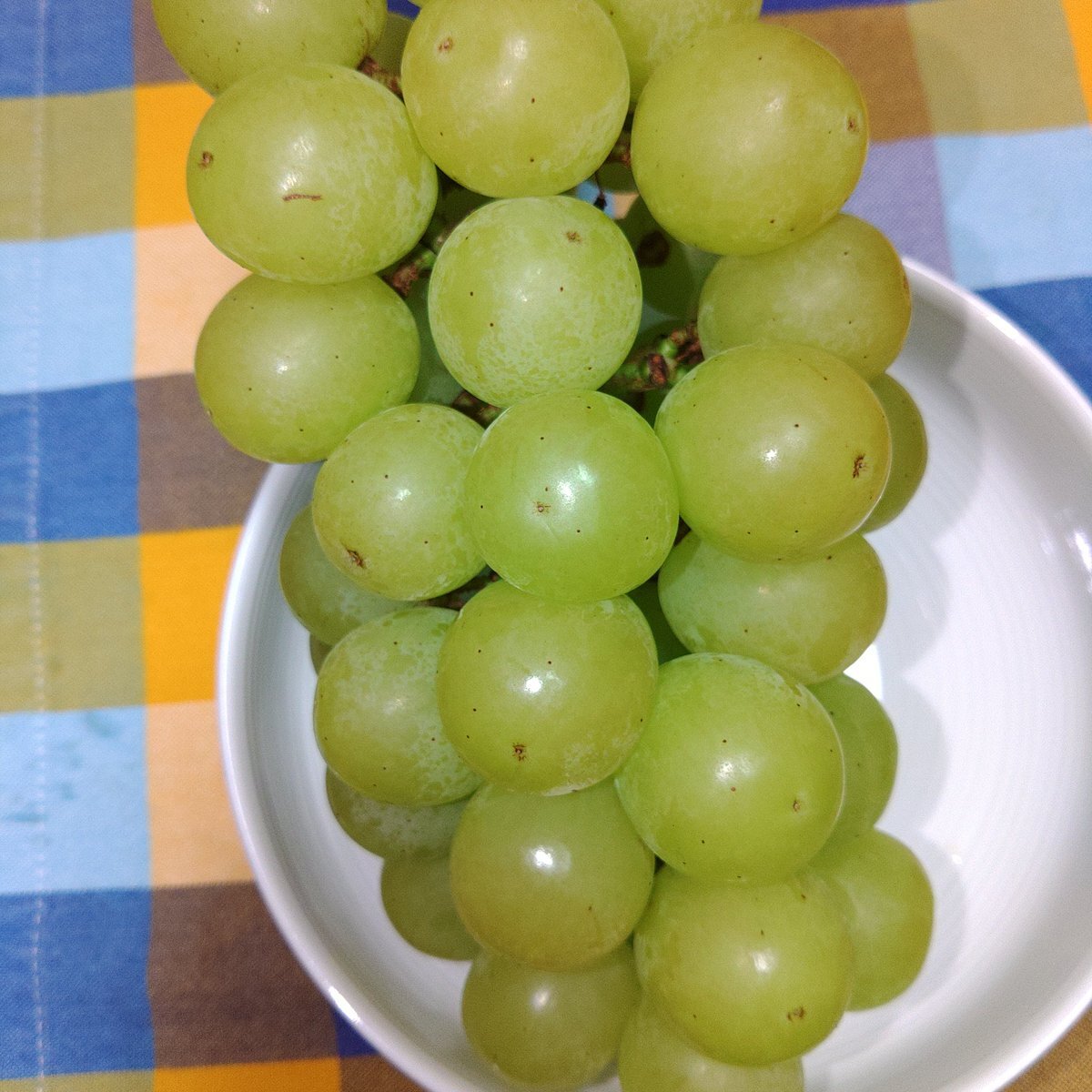 葡萄の呟き 『ぶどうのつぶやき』 ぶどう シャインマスカット 摘み落とし 風のいたずら ちょっと訳