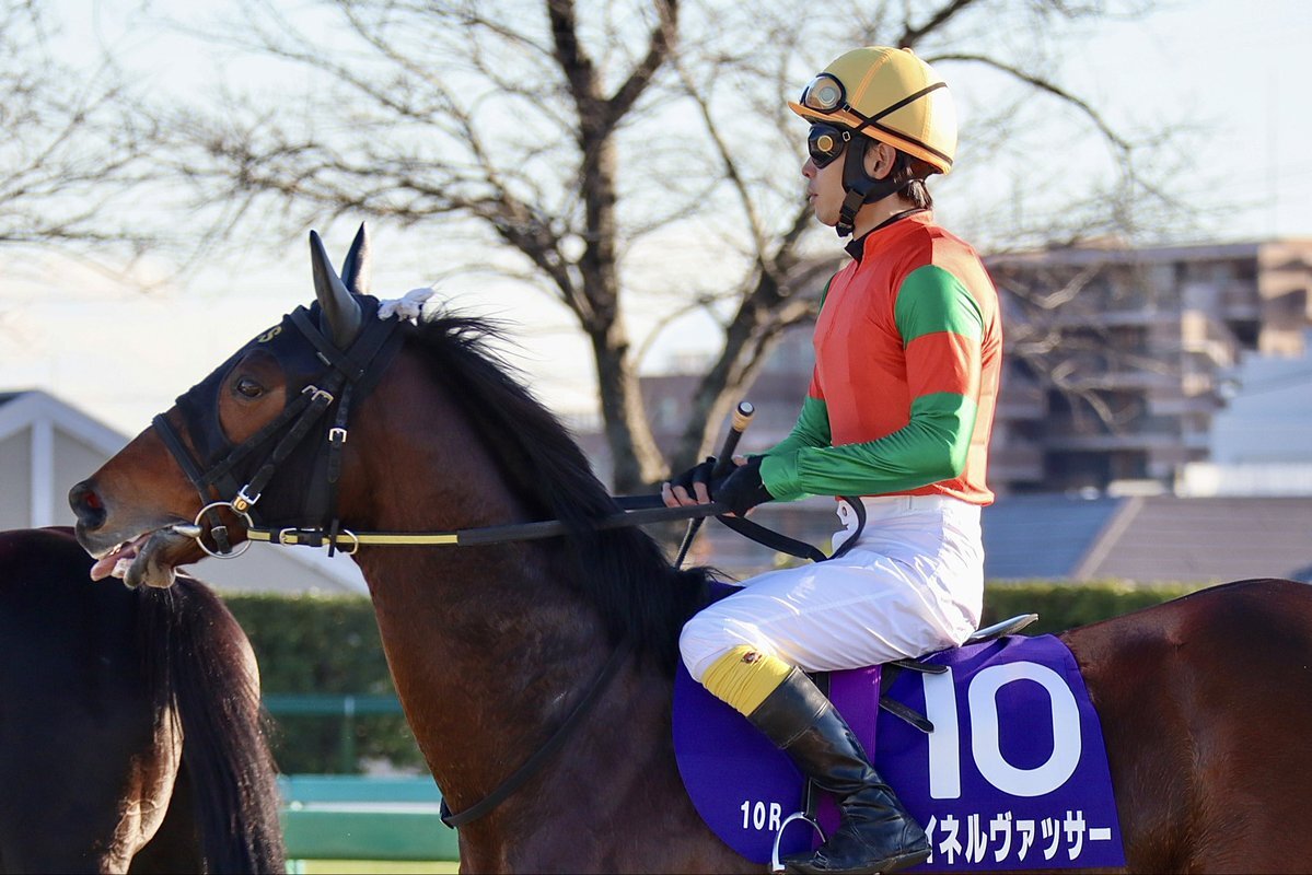 JRA最後のステイゴールド産駒、マイネルヴァッサーが引退