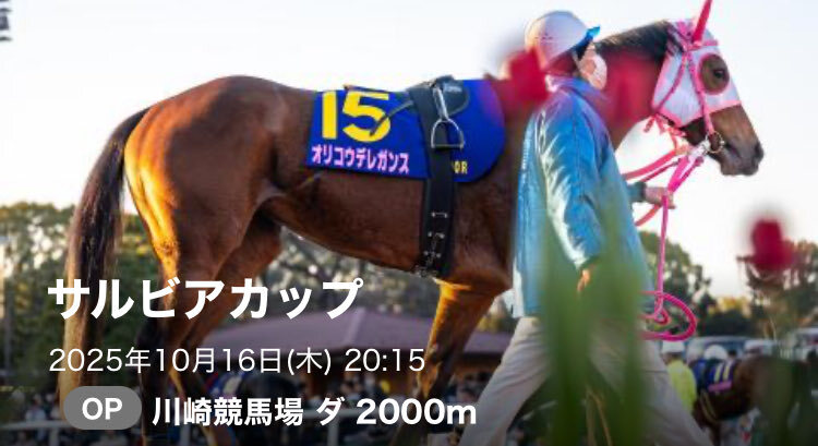 川崎競馬！サルビアカップの予想は？