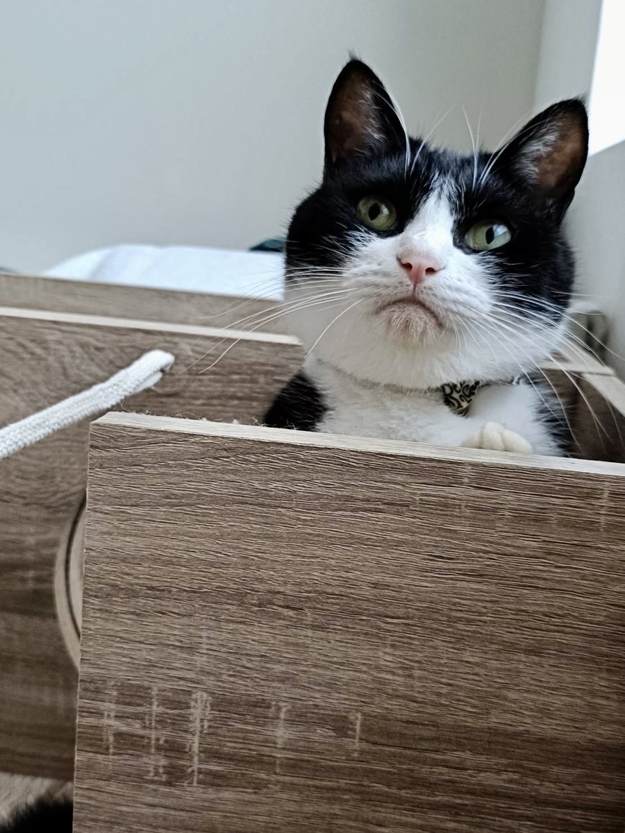 ダイキチ」のYahoo!リアルタイム検索 - X（旧Twitter）を