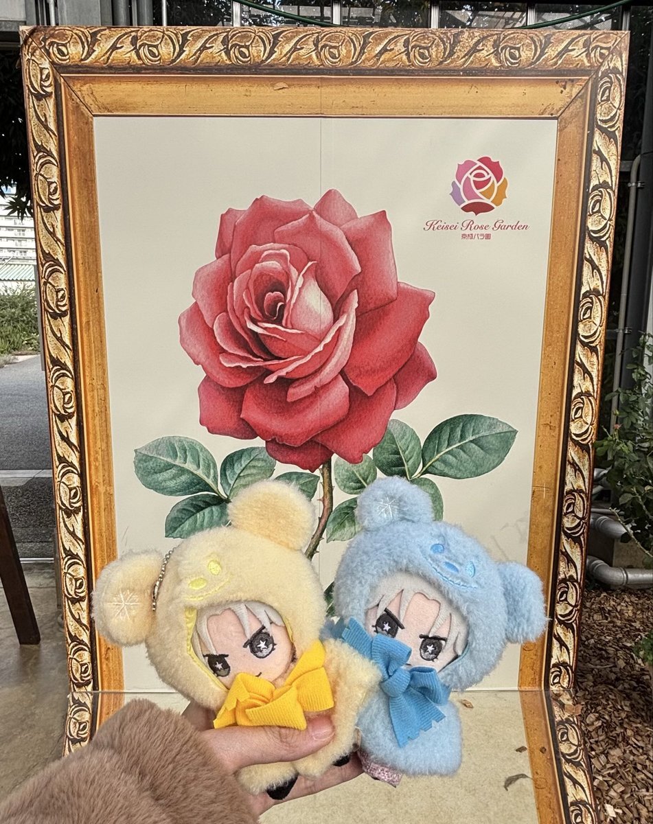 中島健人、エヌトワで話題の「ケンティー構文」とは？