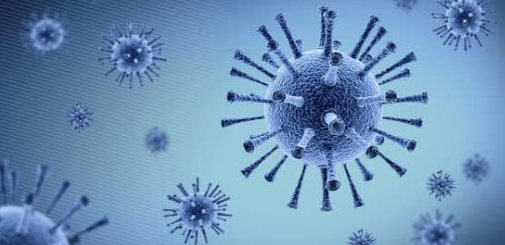 東京都内麻疹感染、ベトナム航空310便搭乗者へ注意喚起