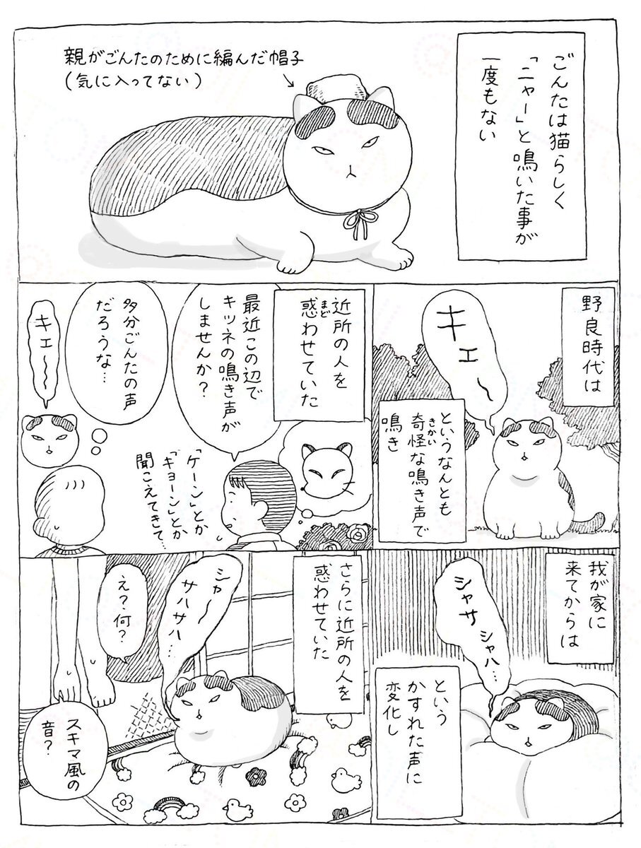猫漫画「ごんた」、SNSで話題に！