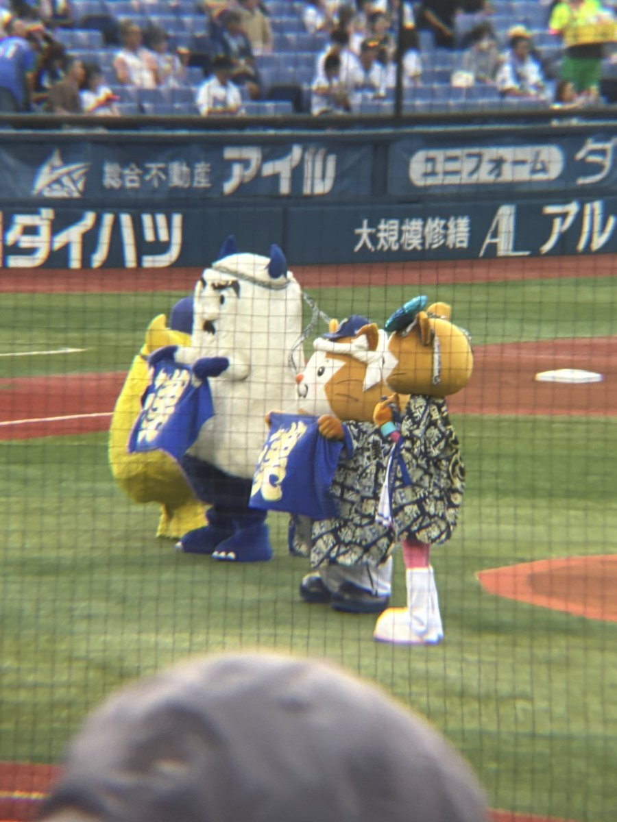 横浜DeNAベイスターズ試合用ズボン 横浜DeNAベイスターズ on X: 
