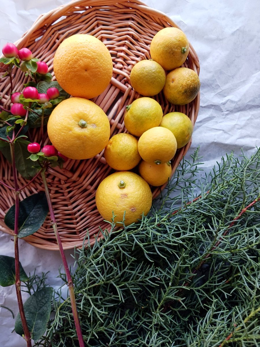 かぼす」のYahoo!リアルタイム検索 - X（旧Twitter）をリアルタイム検索