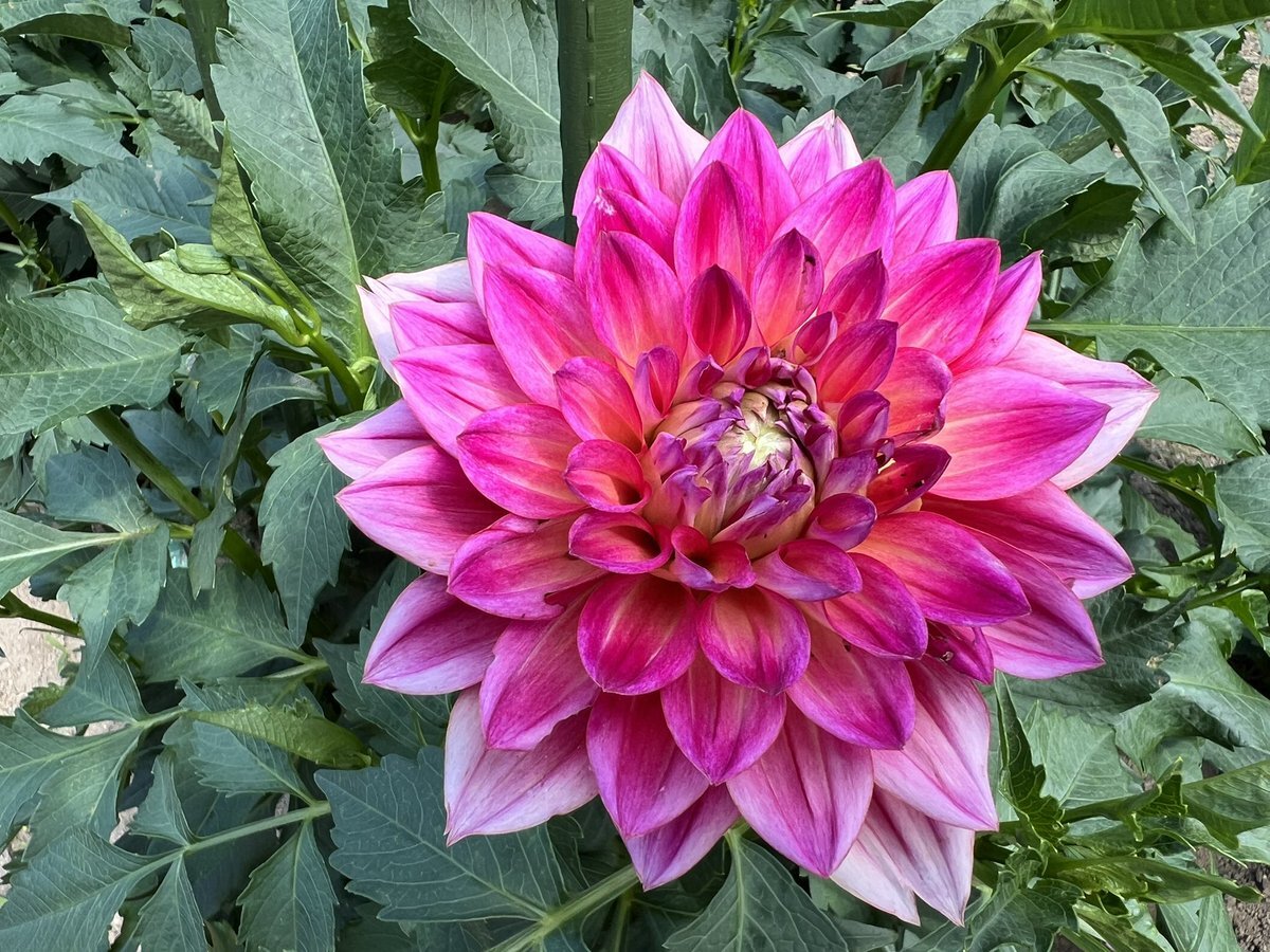 11月1日、SNSでどんな投稿が？