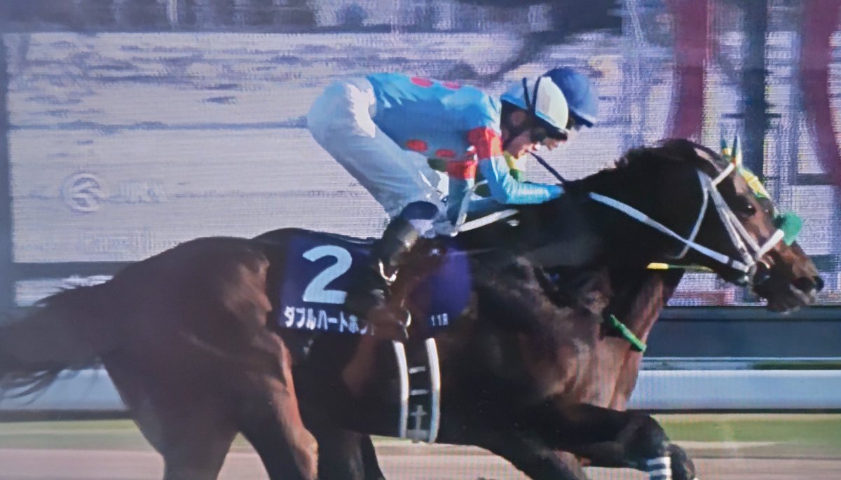 ダブルハートボンド、10年ぶり牝馬チャンピオンズカップ制覇！坂井瑠星騎手3連覇