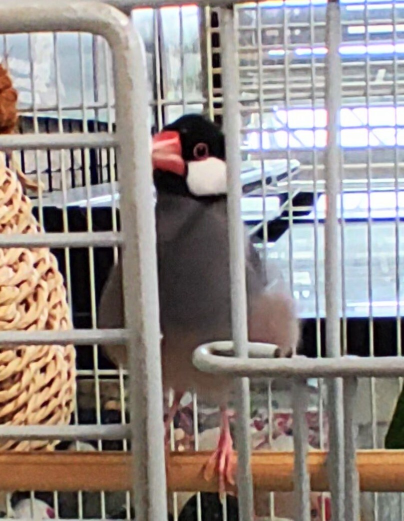 さっくん タワーレコード新宿店 on X: 