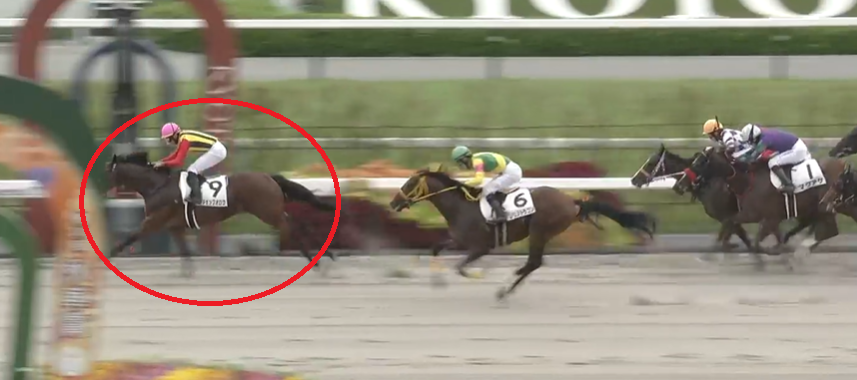 エシェックオロワが京都競馬場で勝利！