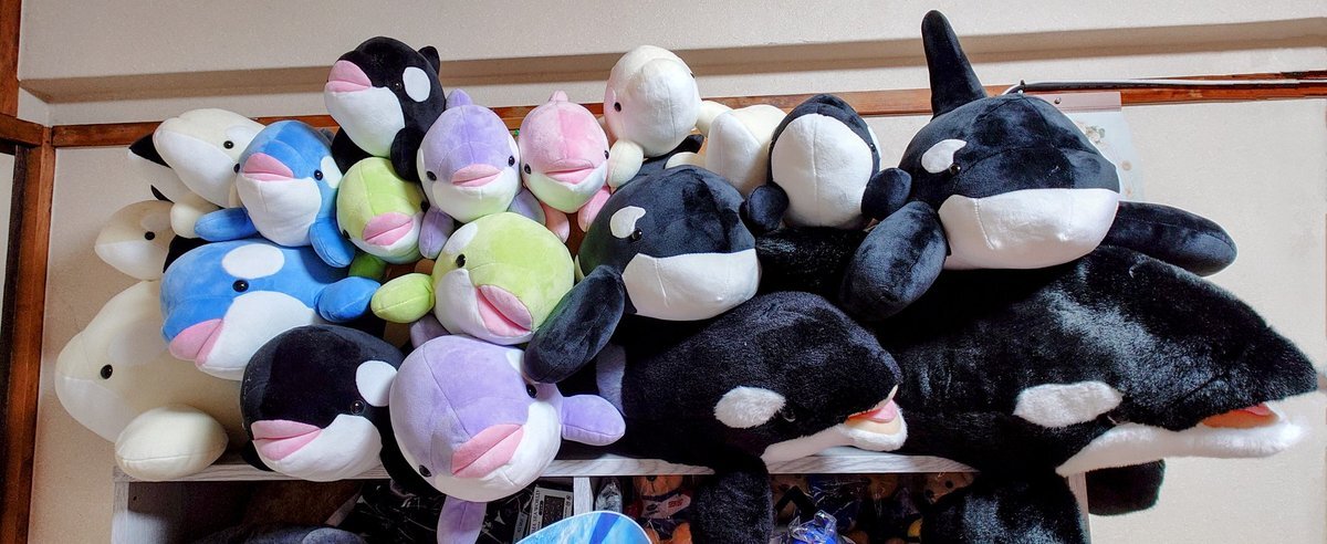 名古屋港水族館 ぬいぐるみくじ」のYahoo!リアルタイム検索 - X