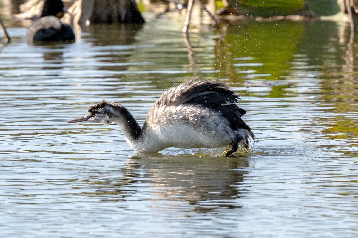 雪が降った！SNSで寒さと雪景色を楽しむ投稿が多数