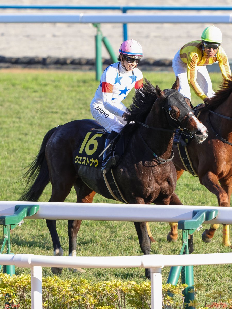 ウエストナウがアンドロメダS制覇！ 