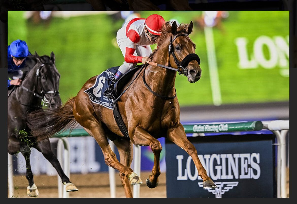 ロイヤルファミリー、第70回有馬記念で注目を集める