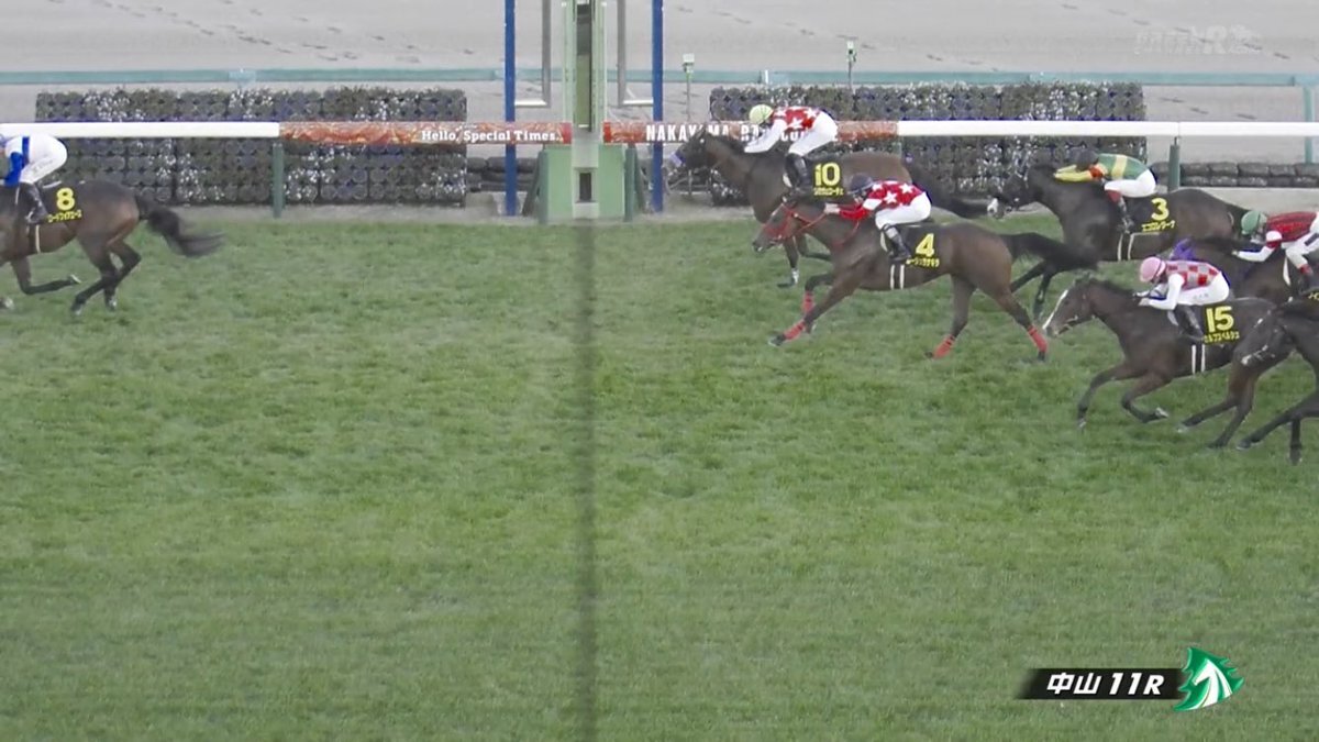 ウィルソンテソーロ、チャンピオンズカップでまたも2着！ 