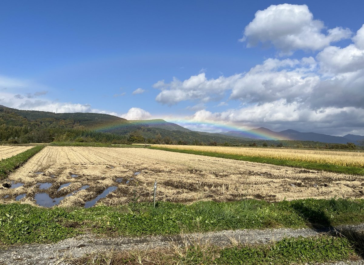 ダブルレインボー」のYahoo!リアルタイム検索 - X（旧Twitter