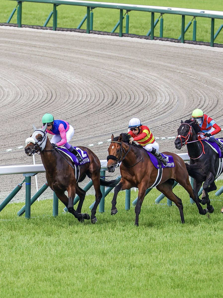 注目2歳馬】東京芝1800mの新馬戦レコードを更新 キタサン