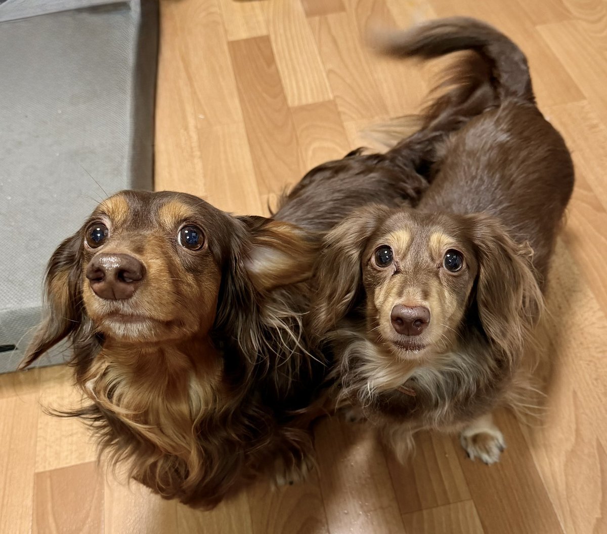 今シーズン一番寒い朝、SNSはどんな反応？