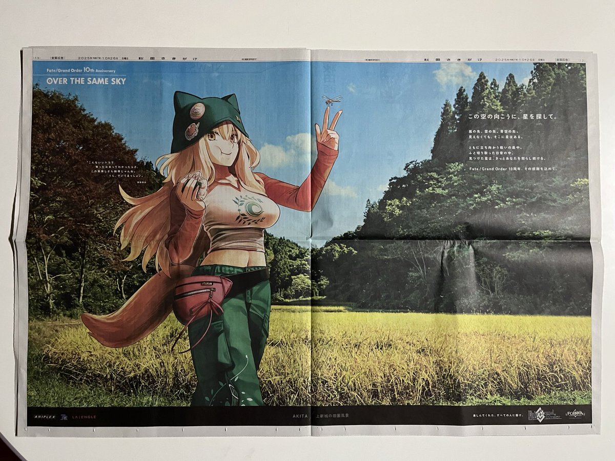 FGO新聞広告、どこでどんなキャラが？