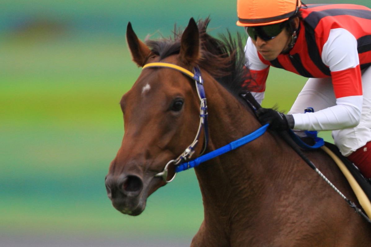 オルフェーヴル」のYahoo!リアルタイム検索 - X（旧Twitter）を