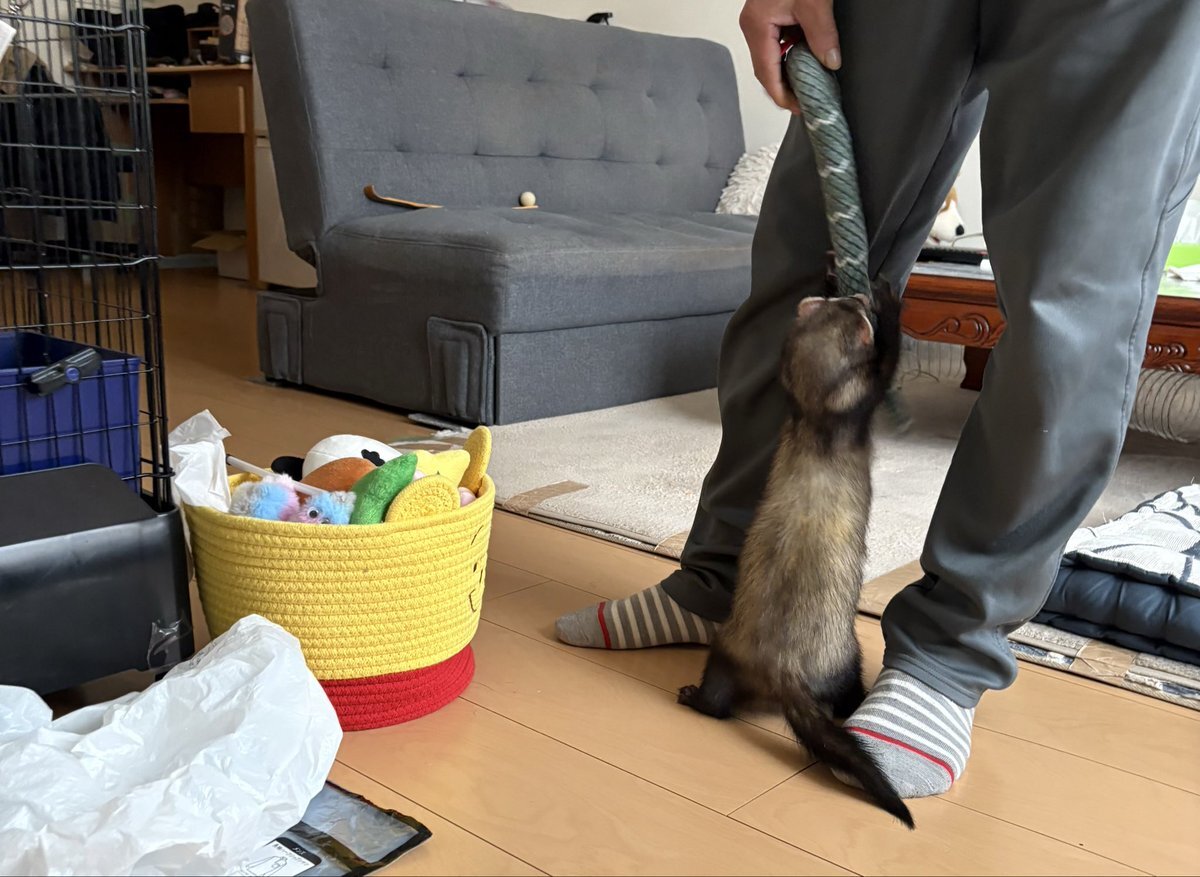 みるちょこさま確認ページ♡ ちょこ」のYahoo!リアルタイム検索 - X（旧Twitter）をリアルタイム検索