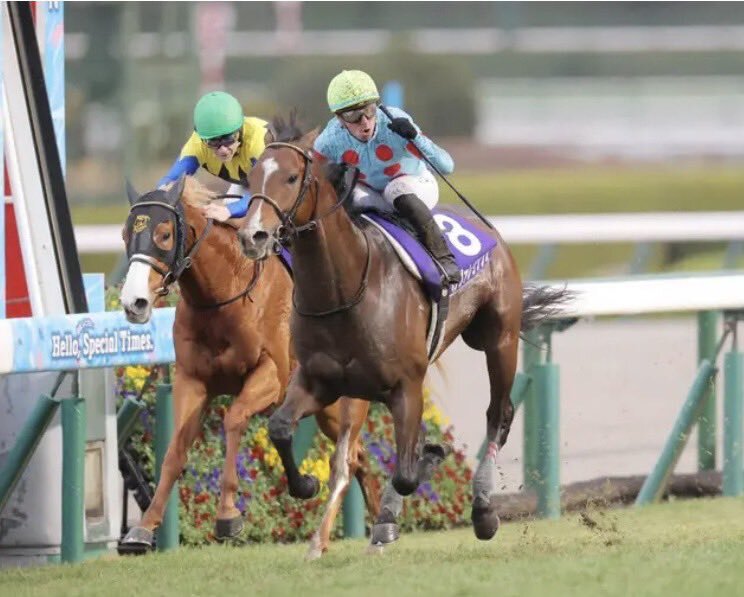 カヴァレリッツォ、クリスチャンデムーロが朝日杯FSを制覇！ 