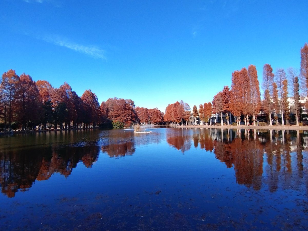 WEST、FNS歌謡祭で「クリスマス・イブ」歌唱！濵ちゃんの歌声にファン感動