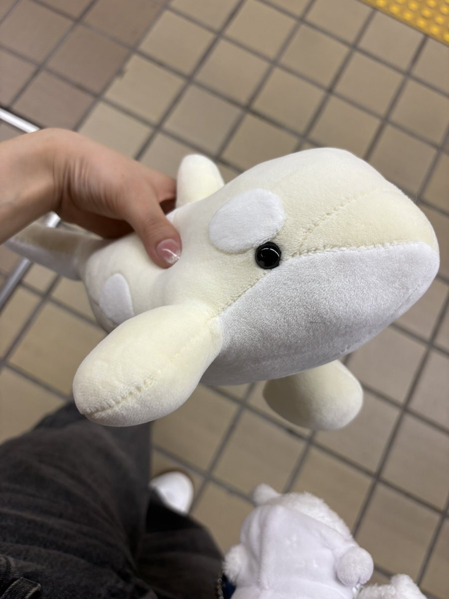 名古屋港水族館 ぬいぐるみ」のYahoo!リアルタイム検索 - X（旧