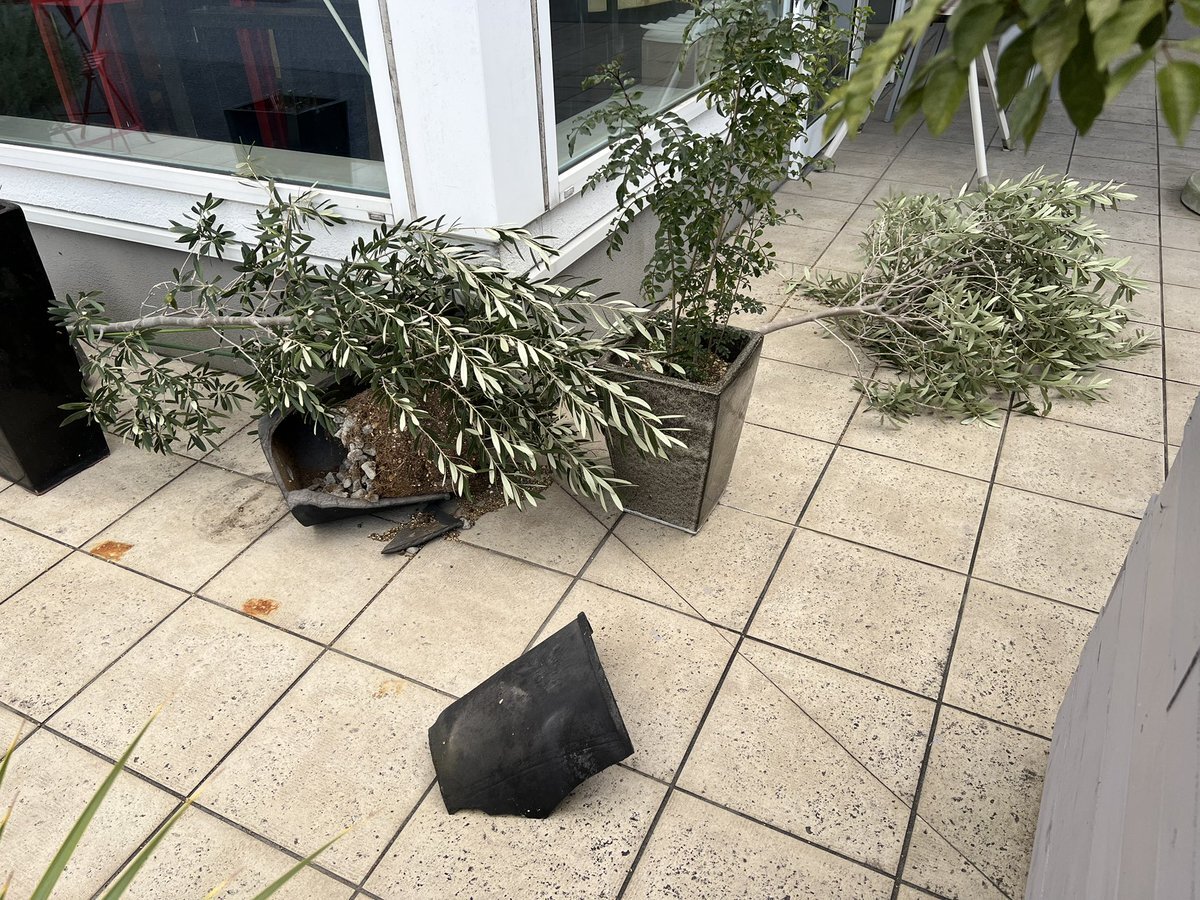 新千歳空港全便欠航、旅行者困惑