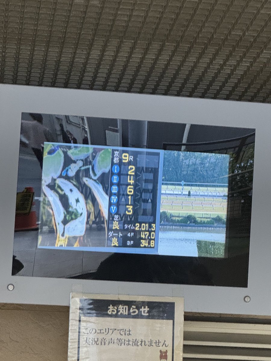 キッコベッロ、黄菊賞は4着に終わる！ 