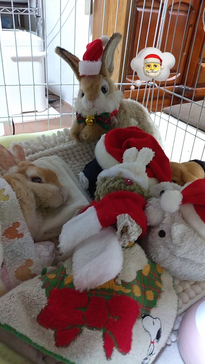 「逃げろッ！」めぞんネタにファン大興奮！M-1決勝進出の喜びの声