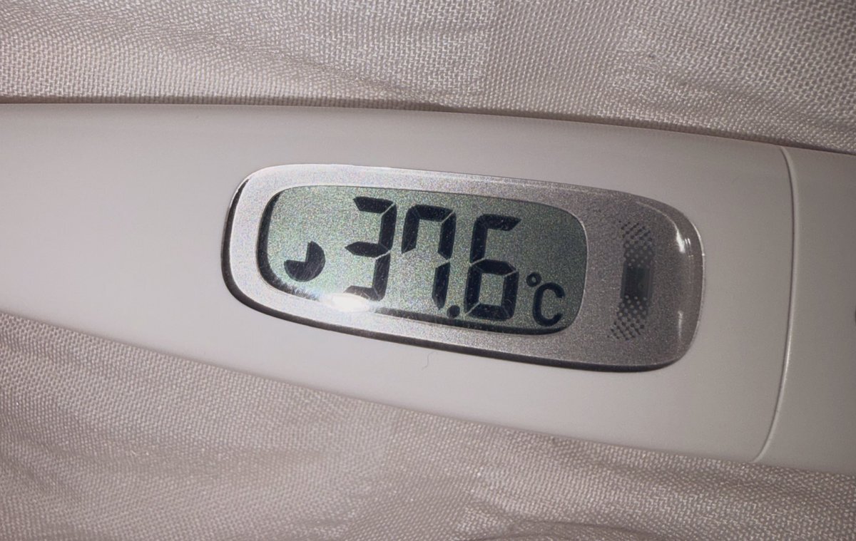 配信者続々！12月1日は配信休みが続出