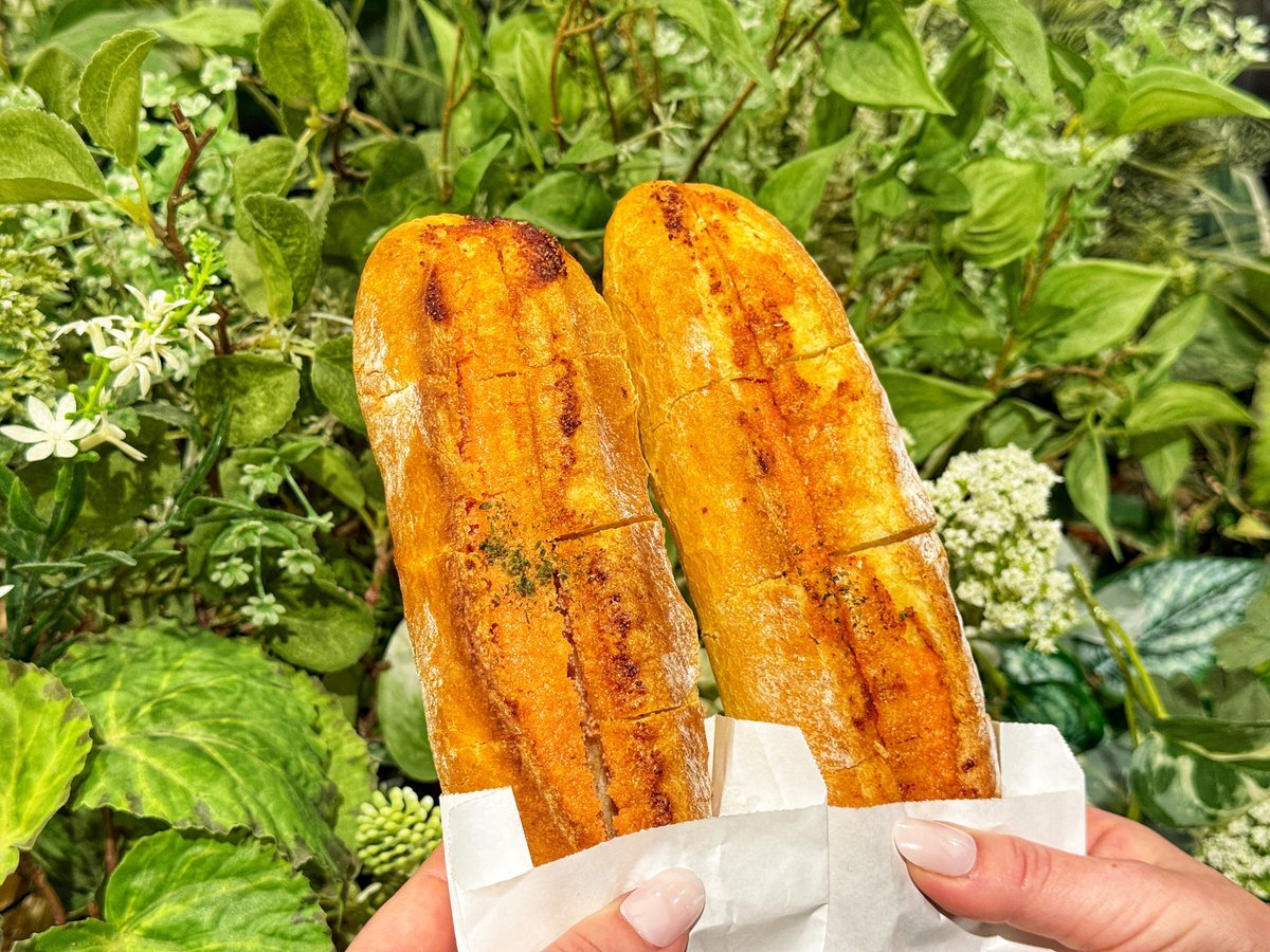 フランス外交、中国との関係、歴史認識で議論沸騰