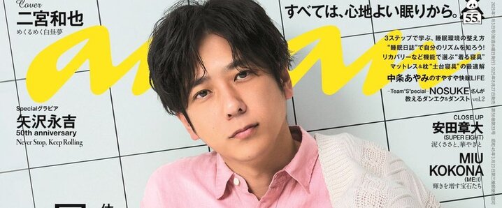 えなり様 ご相談ページ 更新費用を確認したい | さくらのサポート情報