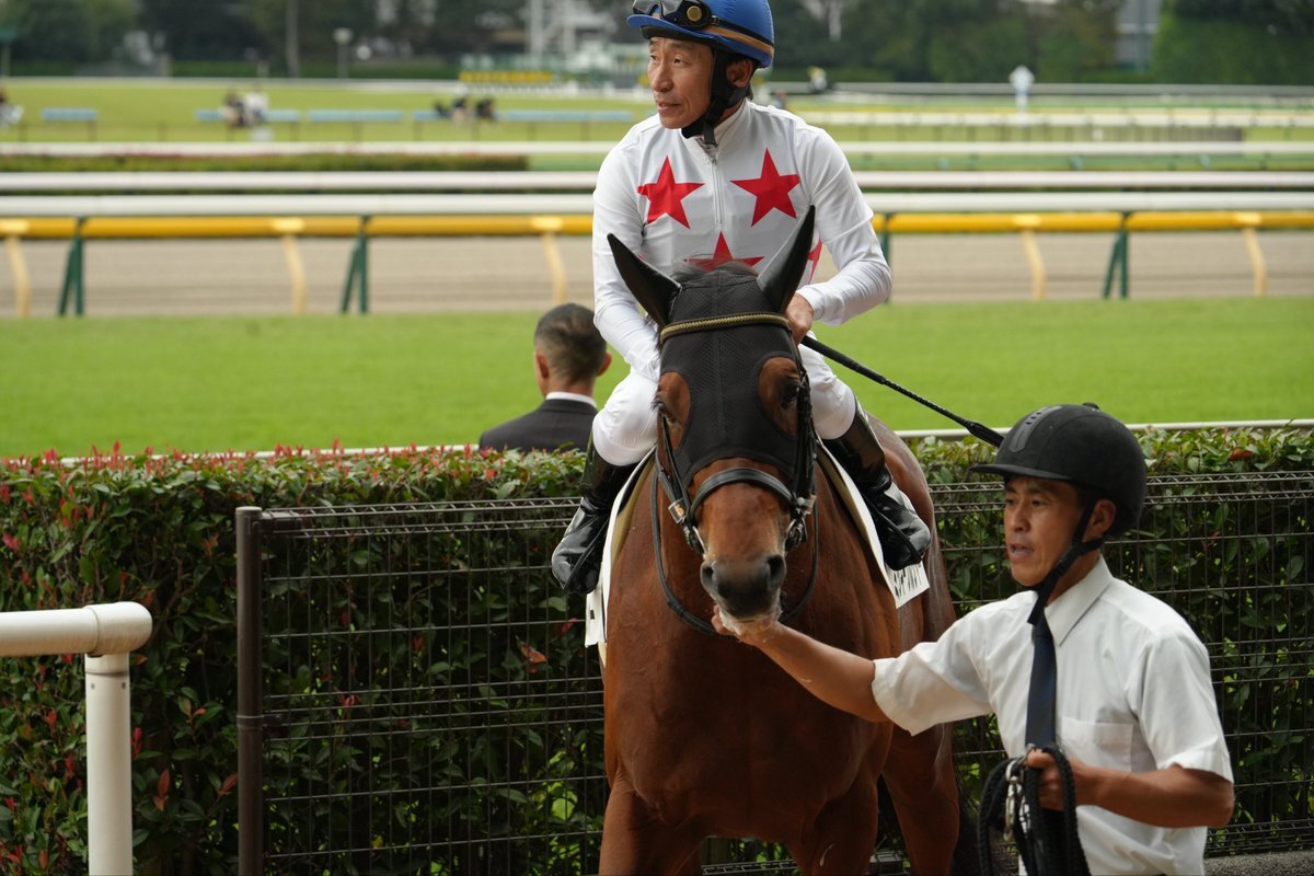 ミッキーソルジャーが勝利！東京競馬場