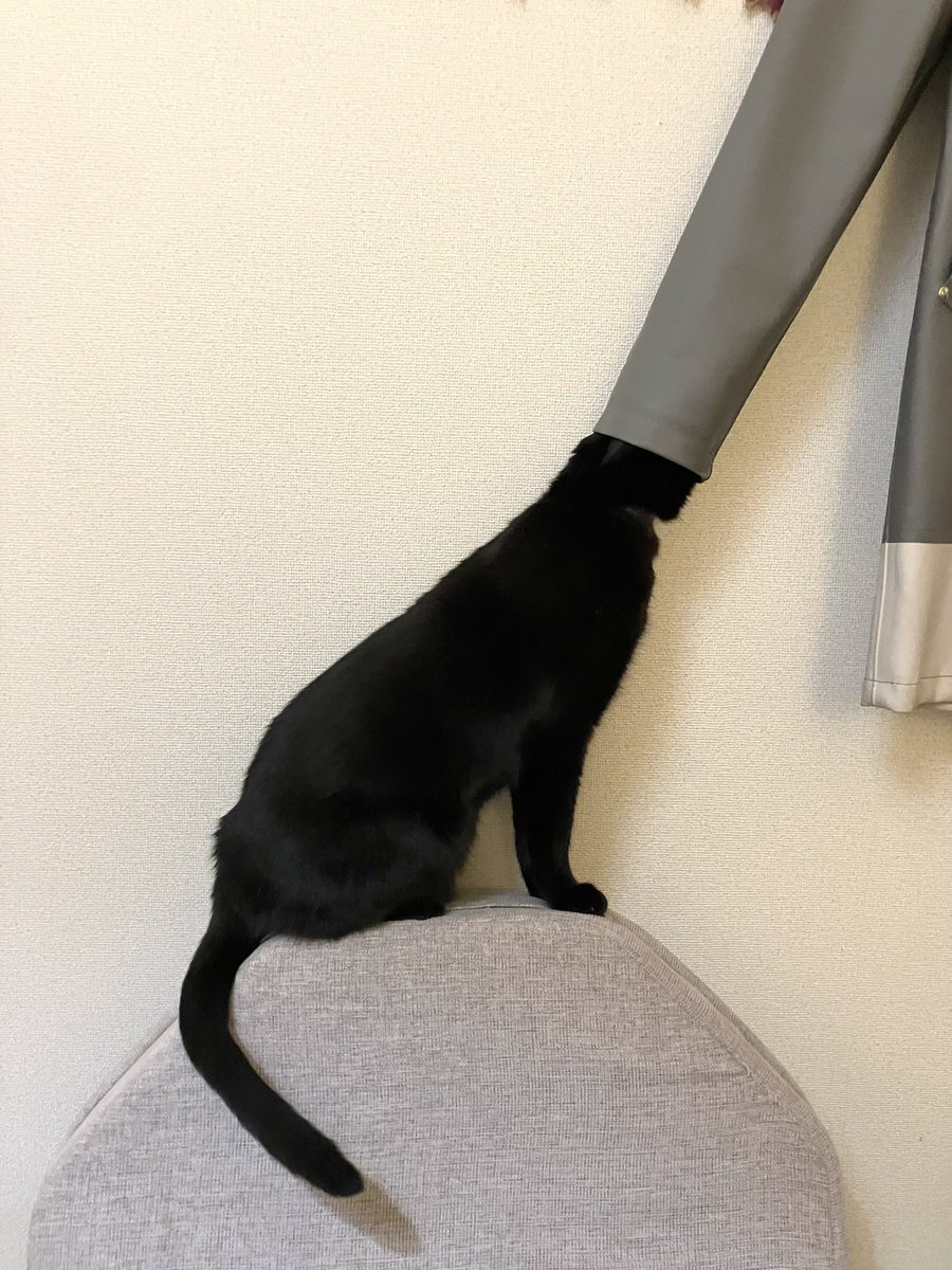 熟女のガードルフェチ ガードル」のYahoo!リアルタイム検索 - X（旧Twitter）をリアルタイム検索