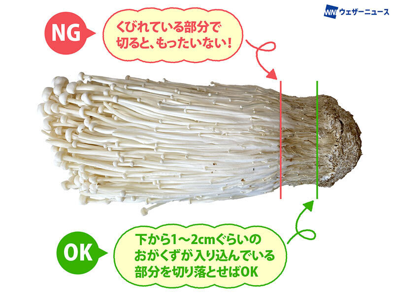 きのこの日、みんなどんなきのこが好き？