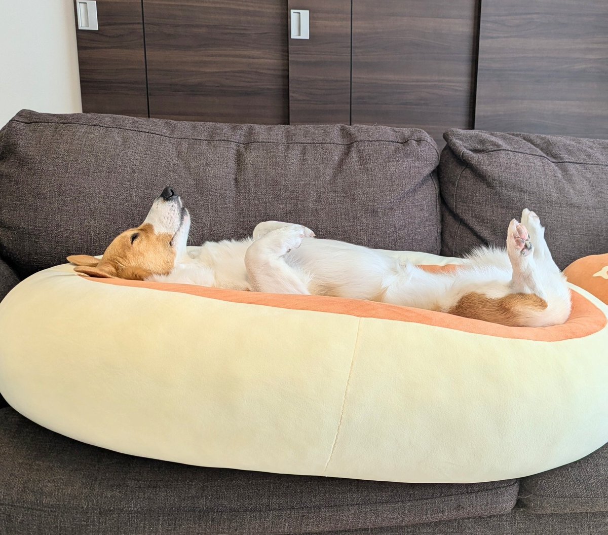 スピリッツ サイン」のYahoo!リアルタイム検索 - X（旧Twitter）を