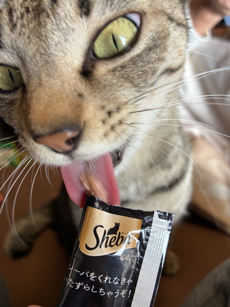 うらた、休暇中に「ダメな子」発言にファンは心配