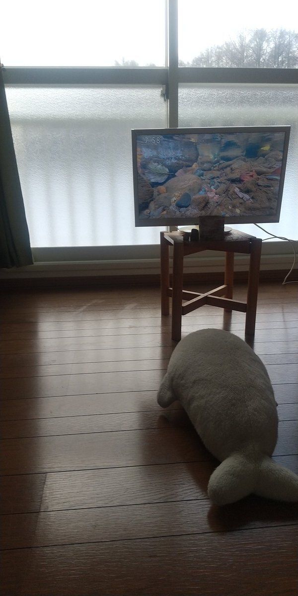 札幌の真駒内川、豊かな自然と命の営みが「さわやか自然百景」で紹介