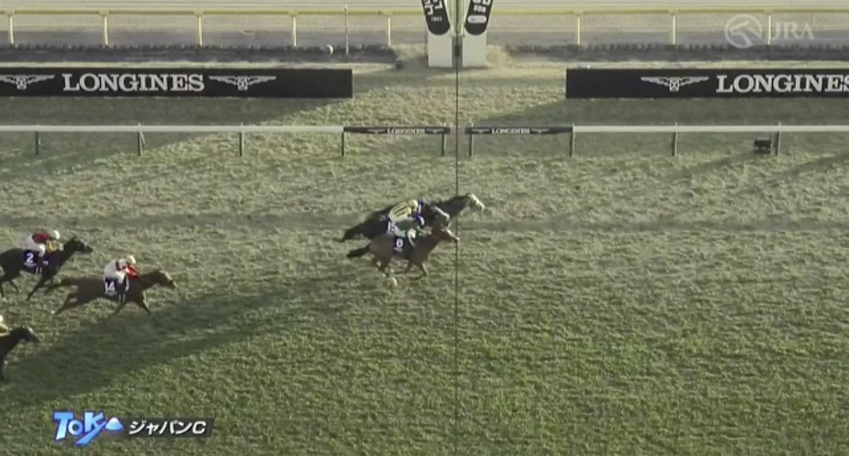 カランダガン、ジャパンカップで圧勝！ファン興奮