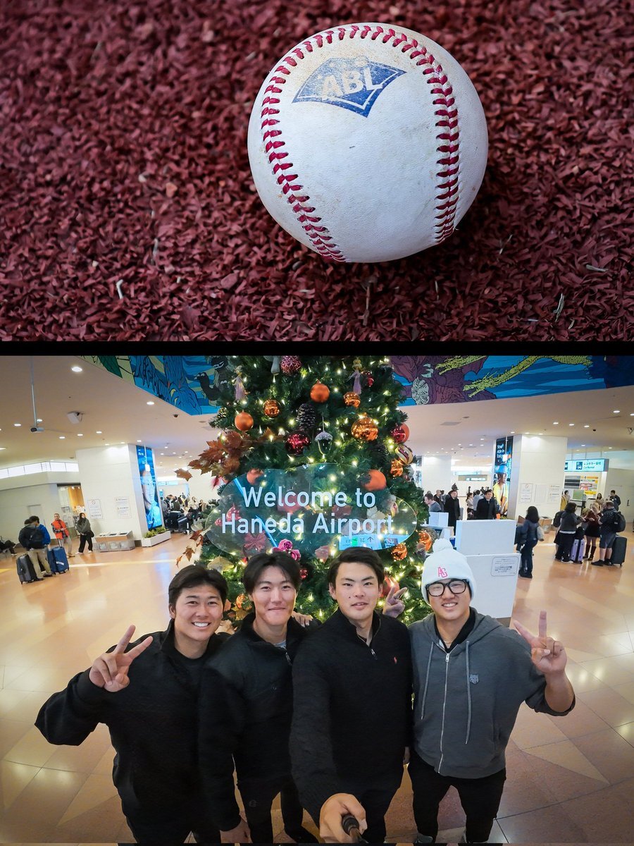 巨人軍、長打力のあるダルベック選手獲得でファン期待高まる