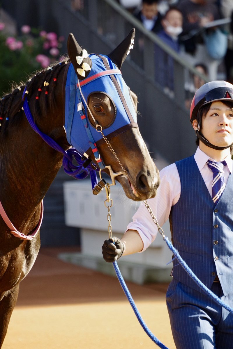 金沢のピカピカピロコ、松戸騎手と共に白菊賞に挑戦！